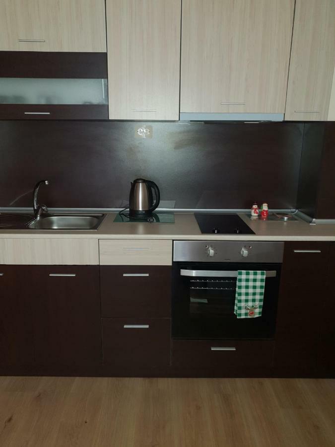 Cosy Apartment - City Centre Blagoevgrad Esterno foto