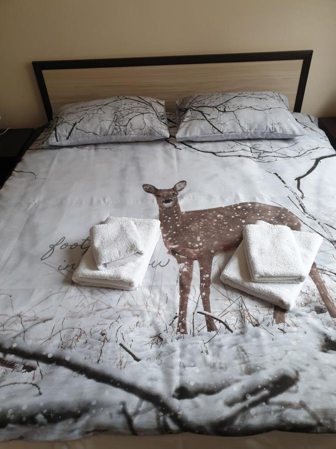 Cosy Apartment - City Centre Blagoevgrad Esterno foto